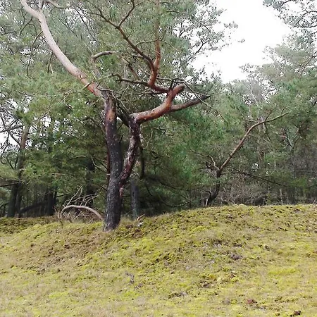 Dom wakacyjny Rowy, Sloneczne Plaze