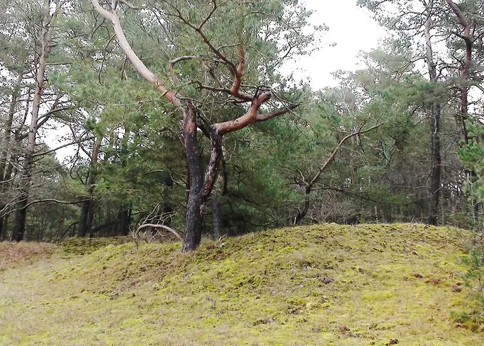 بيت للعطل Rowy, Sloneczne Plaze